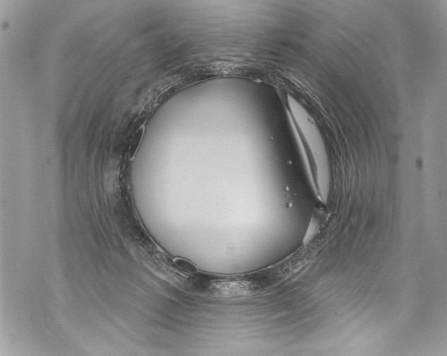 X0000070880221200607150154