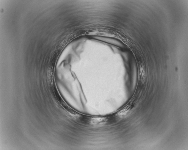 X0000070880222200607150154