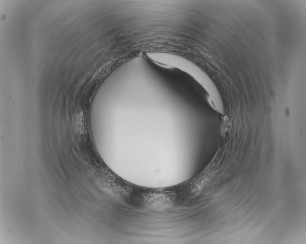 X0000070880224200607150154