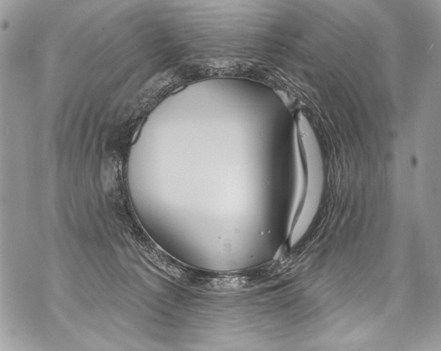 X0000070880225200607150154