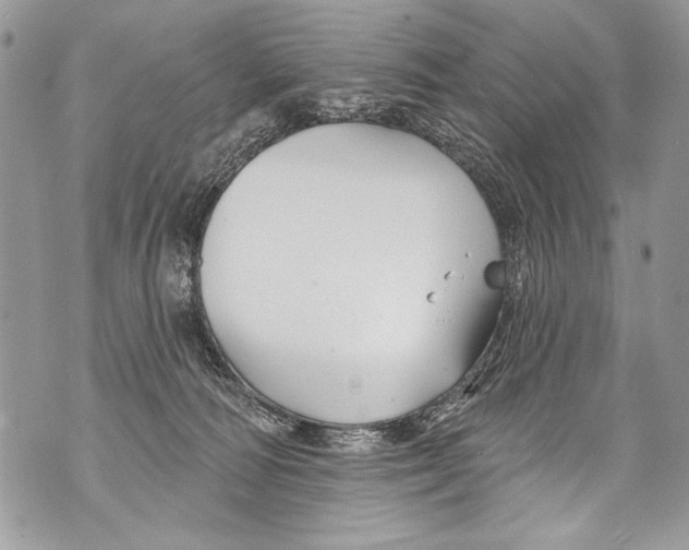 X0000070880226200607150154