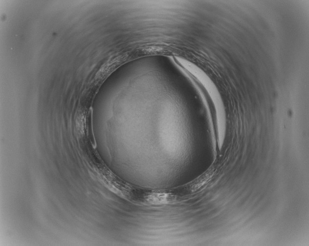 X0000070880227200607150154