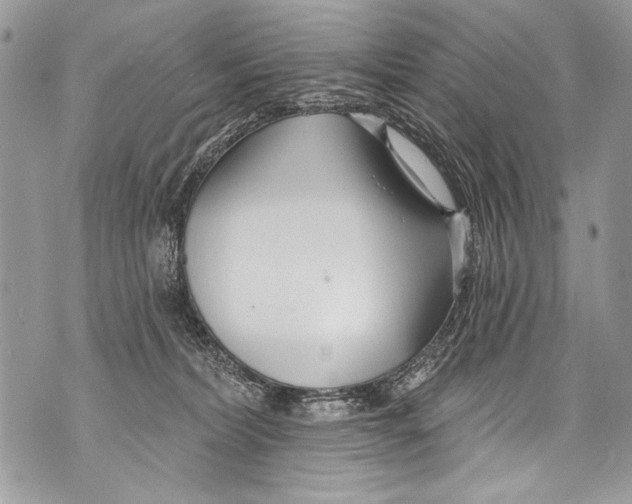 X0000070880228200607150154