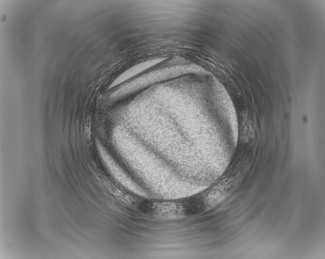 X0000070880230200607150154