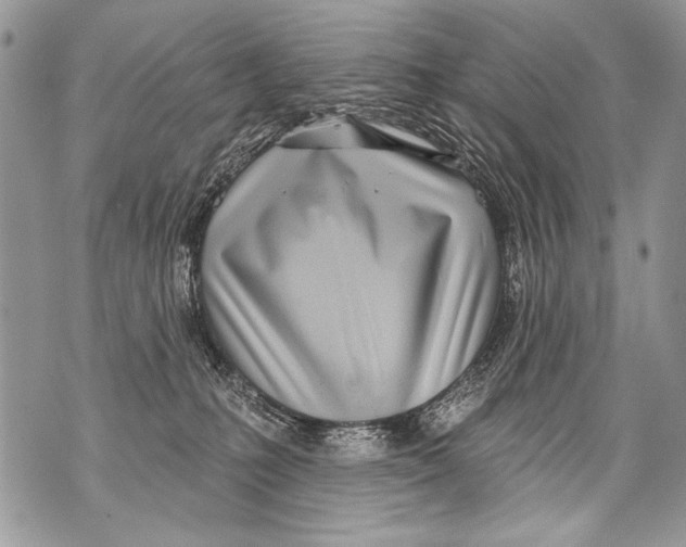 X0000070880231200607150154