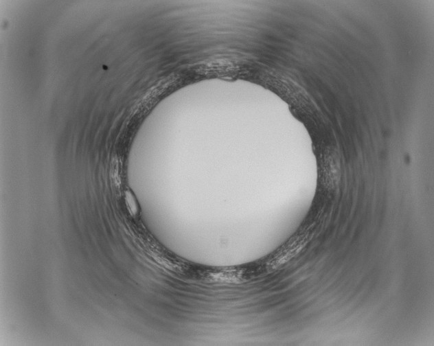 X0000070880232200607150154