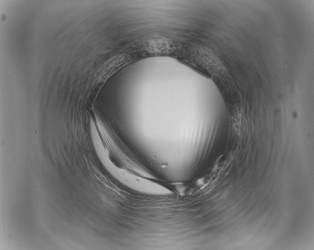 X0000070880233200607150154