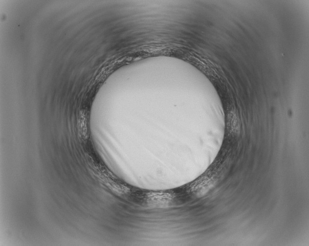 X0000070880234200607150154