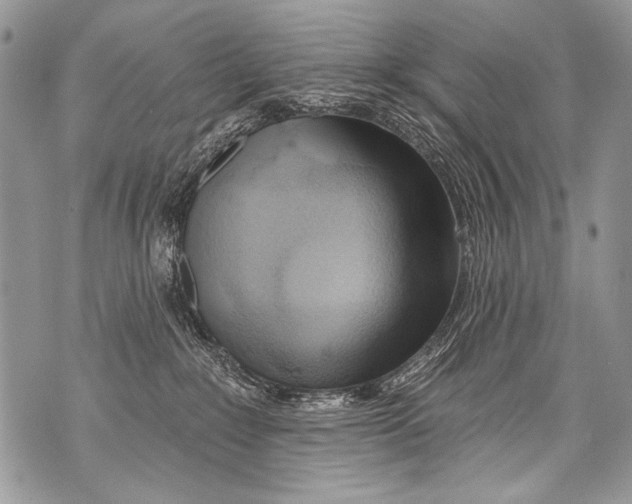 X0000070880235200607150154