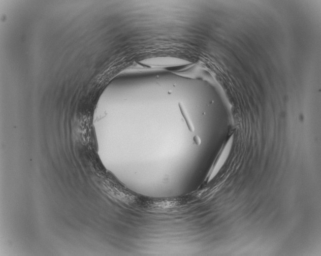 X0000070880237200607150154