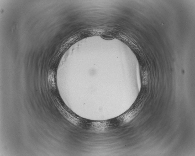 X0000070880238200607150154