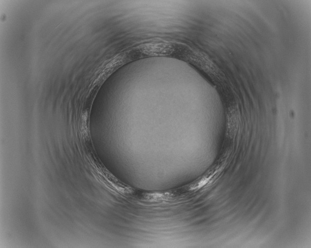 X0000070880239200607150154