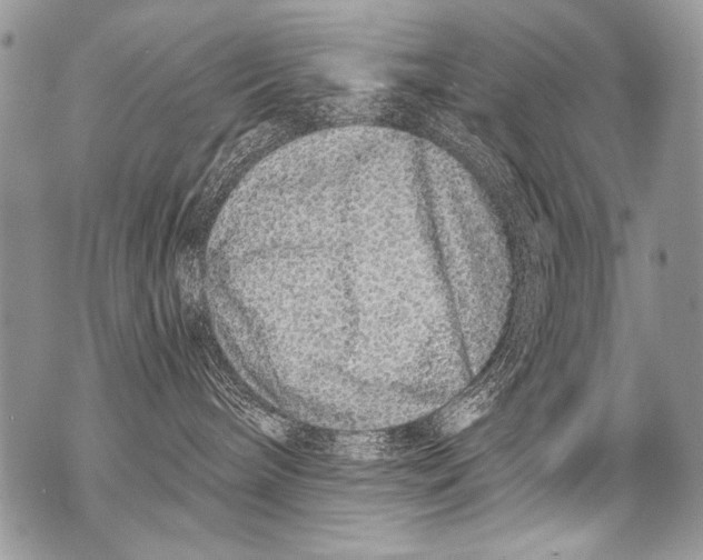 X0000070880240200607150154