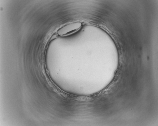 X0000070880241200607150153