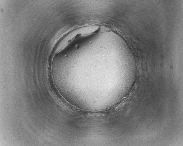 X0000070880242200607150153