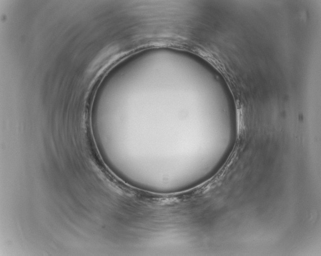 X0000070880243200607150153