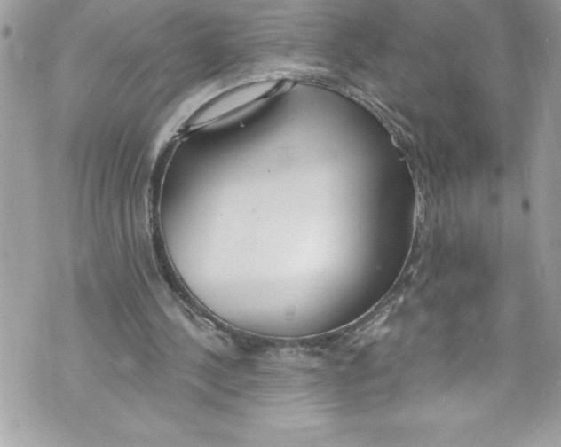 X0000070880244200607150153