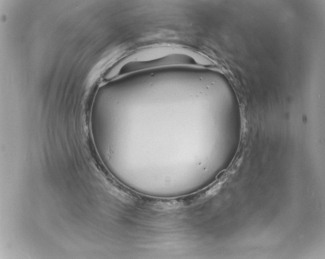 X0000070880245200607150153