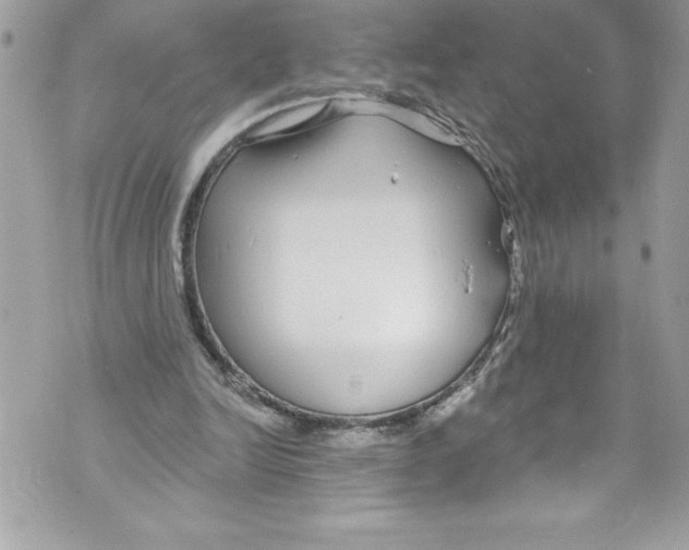 X0000070880246200607150153