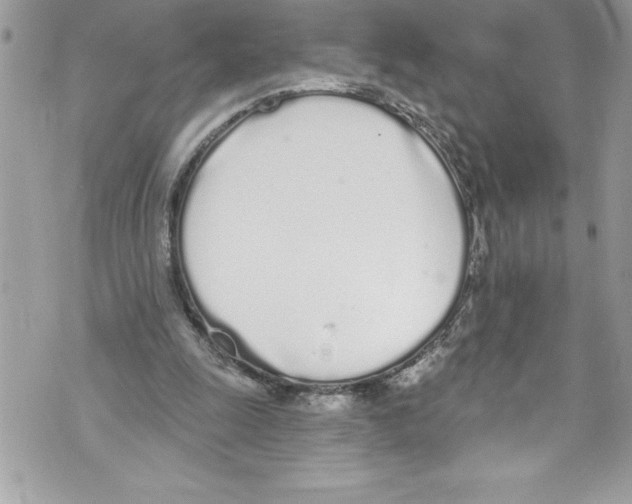 X0000070880247200607150153