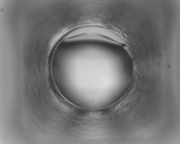 X0000070880248200607150153