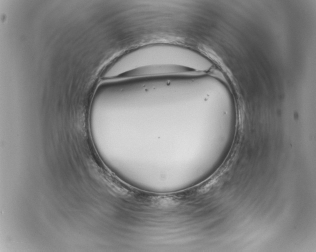 X0000070880249200607150153