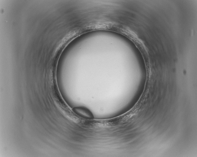 X0000070880250200607150153