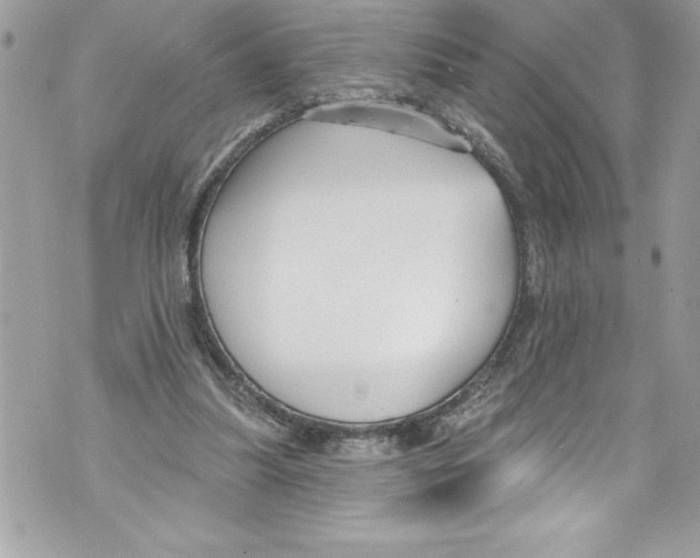 X0000070880251200607150153