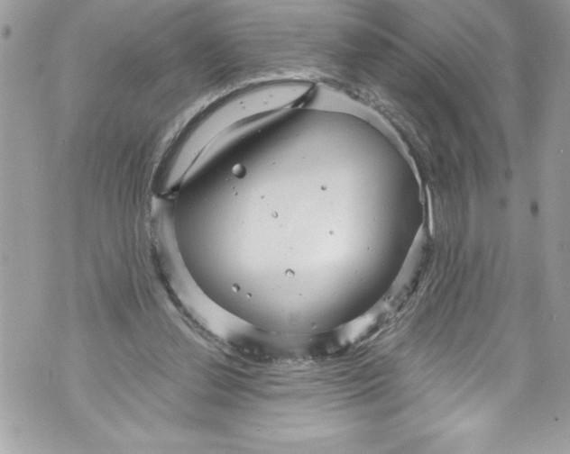 X0000070880252200607150153