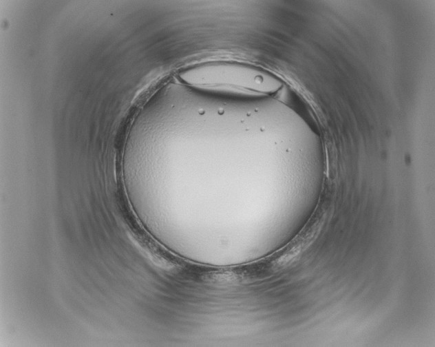 X0000070880253200607150153