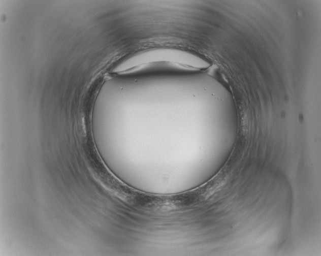 X0000070880254200607150153