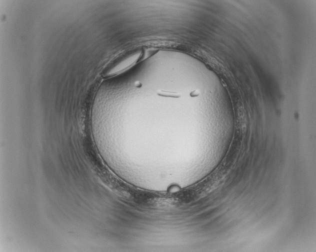 X0000070880255200607150153