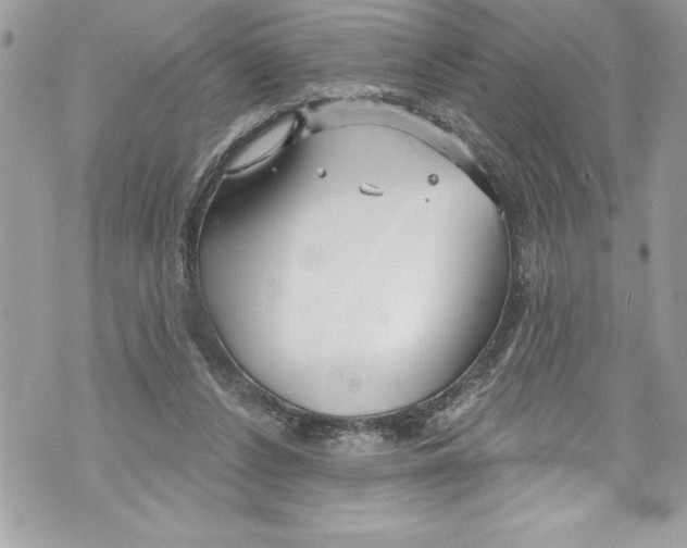 X0000070880256200607150153