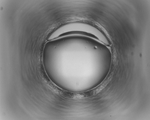 X0000070880257200607150153