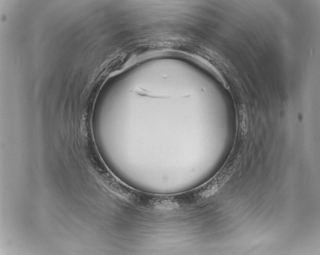 X0000070880258200607150153