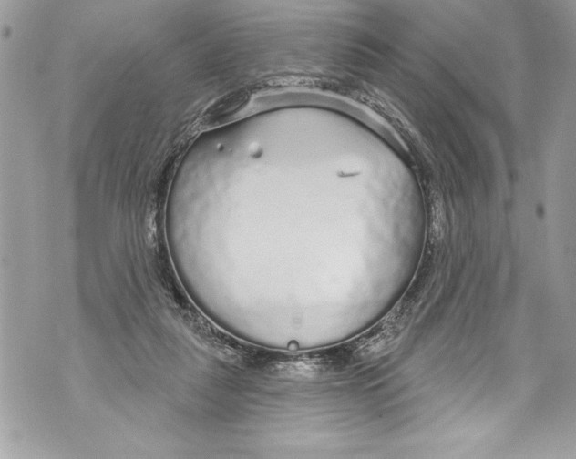 X0000070880259200607150153