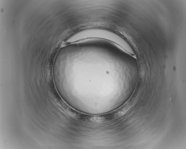 X0000070880261200607150153