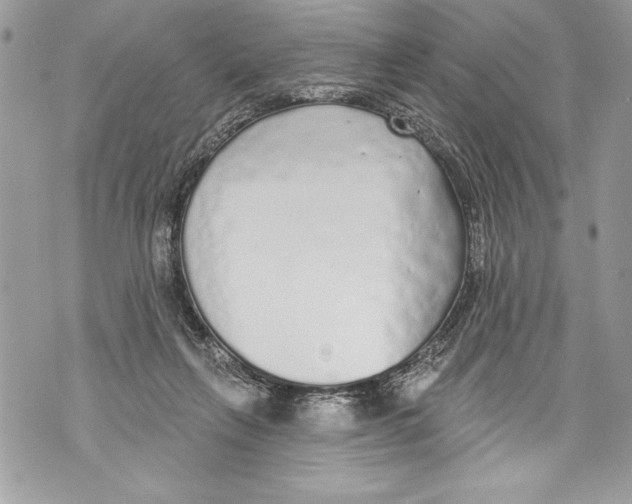 X0000070880263200607150153