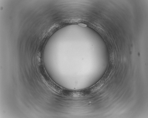 X0000070880264200607150153