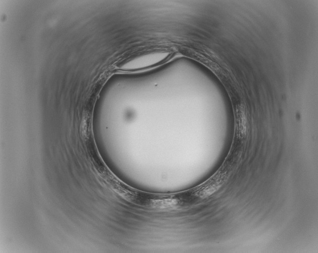 X0000070880266200607150153