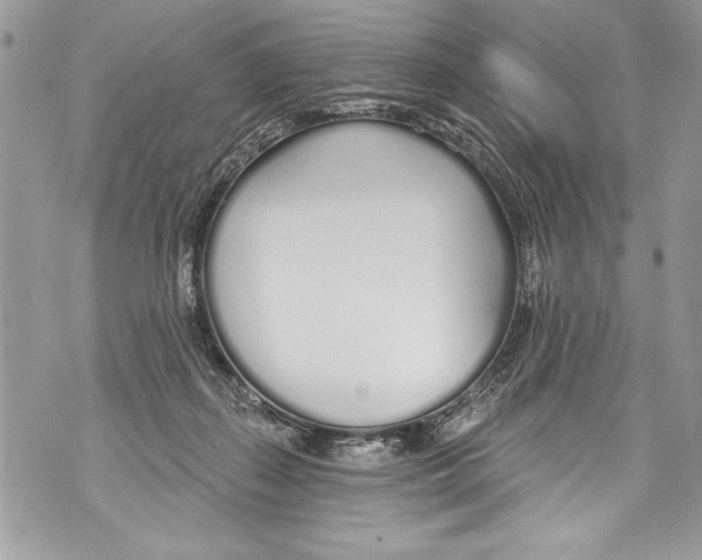 X0000070880267200607150153