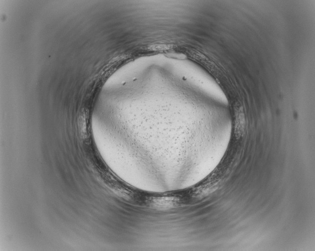 X0000070880268200607150153