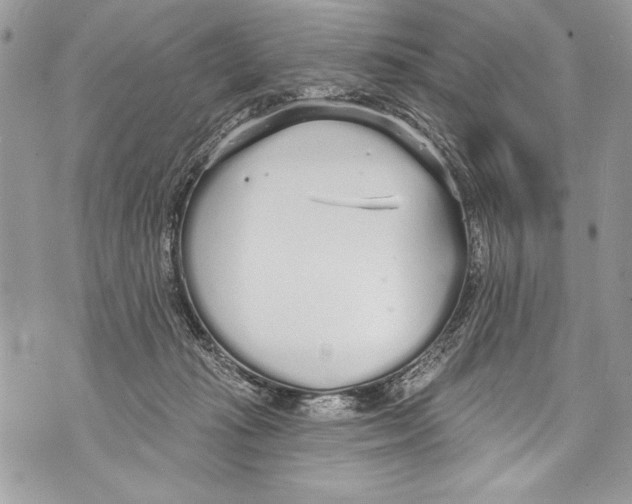 X0000070880269200607150153