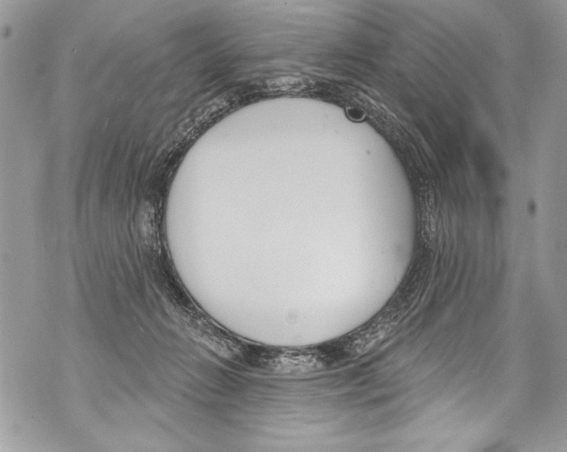 X0000070880270200607150153