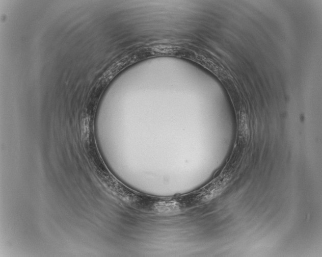 X0000070880271200607150153