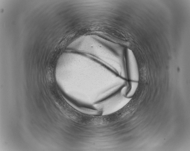 X0000070880272200607150153