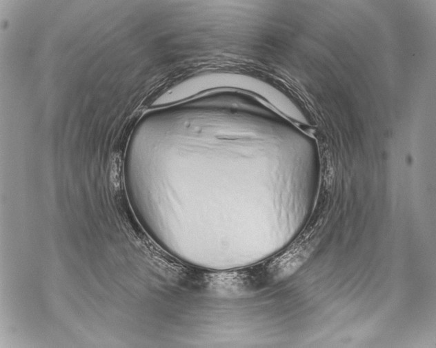 X0000070880273200607150154