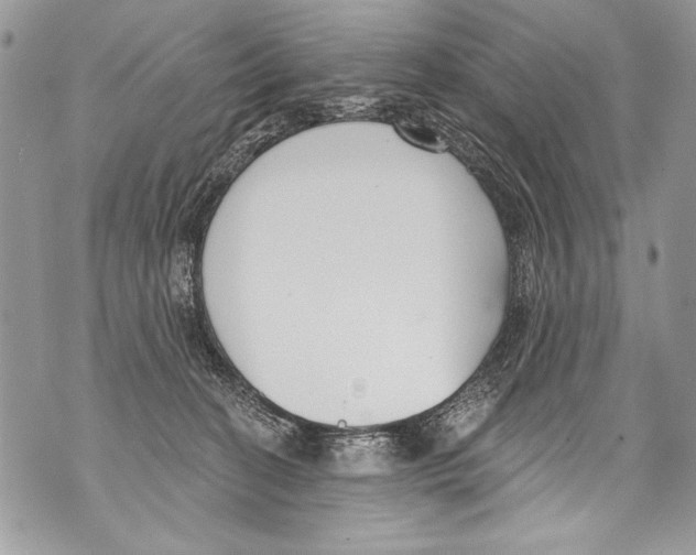 X0000070880274200607150154