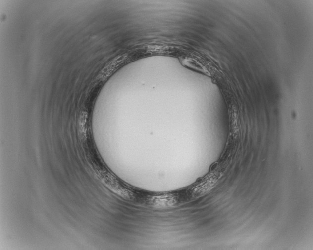 X0000070880275200607150154