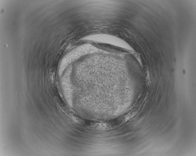 X0000070880276200607150154